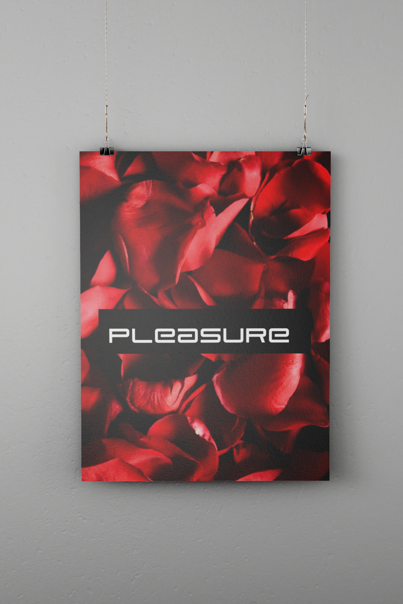 PLEASURE