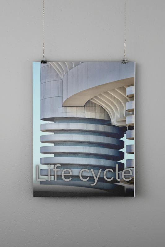 LIFE CYCLE